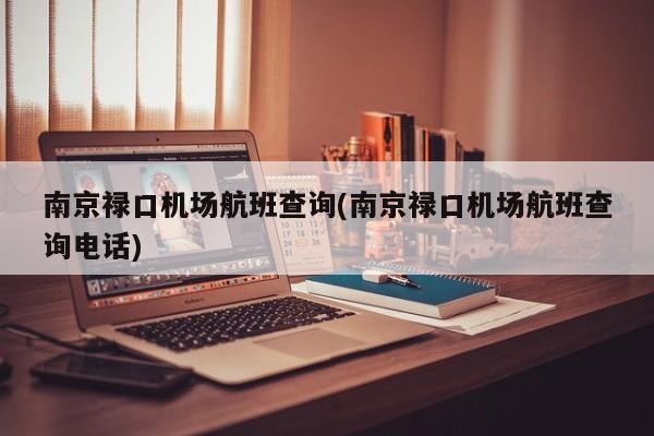 南京禄口机场航班查询(南京禄口机场航班查询电话)